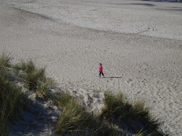 Het strand, Demi verkent