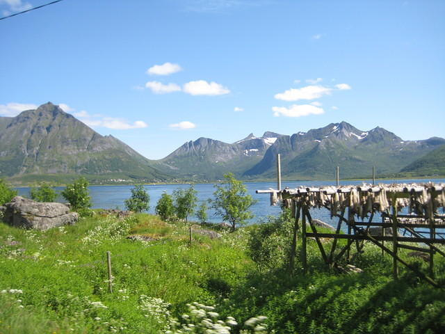 2011 Noorwegen 2 228