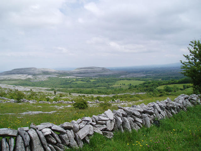 Ierland2005 106 - The Burren bij Carran 2