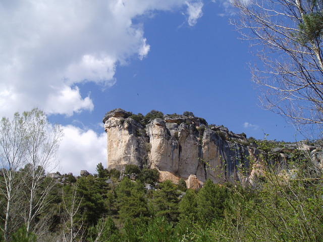 Spanje2004 036
Bij de Taag, een hoge rots met gieren