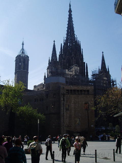 Cathedraal