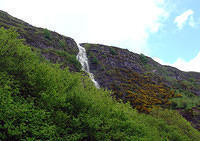 Ierland2005 688 - Glengariff Glen net na de regen