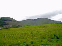 Ierland2005 067 - Landschap bij Leenane