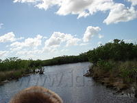 Florida_0128_10-30-2007.JPG