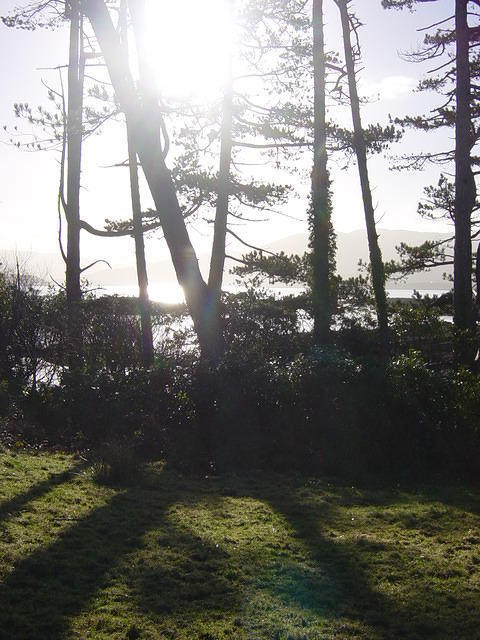 Ierland tot 5-2 - 013.jpg