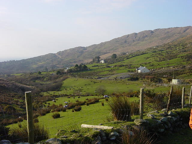 Ierland tot 5-2 - 047.jpg