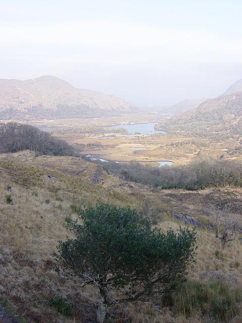 Ierland tot 5-2 - 071.jpg