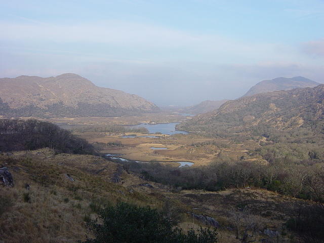 Ierland tot 5-2 - 072.jpg