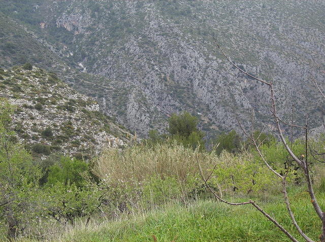 2008SpanjeIneke 041.jpg