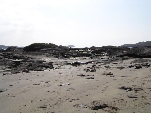 ReintMaart1 063.jpg