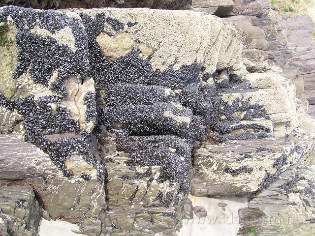 ReintMaart1 067.jpg