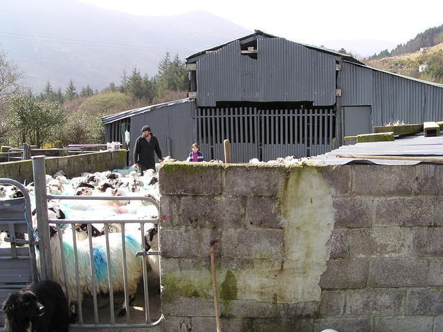 ReintMaart2 007.jpg