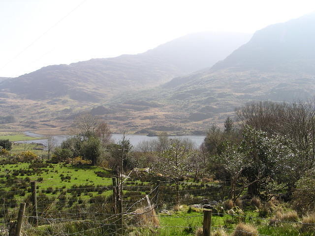 ReintMaart2 008.jpg