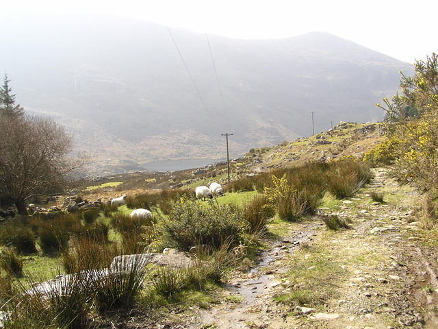 ReintMaart2 010.jpg