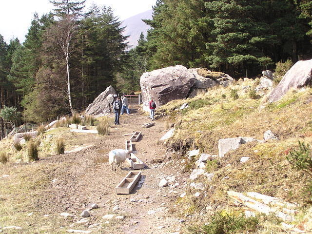 ReintMaart2 012.jpg