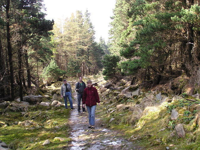 ReintMaart2 013.jpg