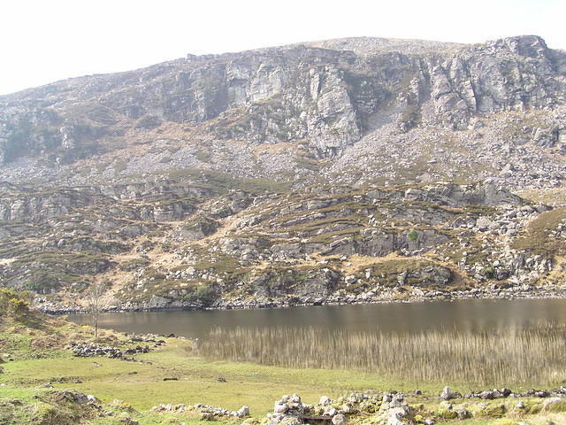 ReintMaart2 100.jpg