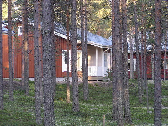 P6170096.jpg
