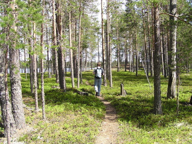 P6230236.jpg
