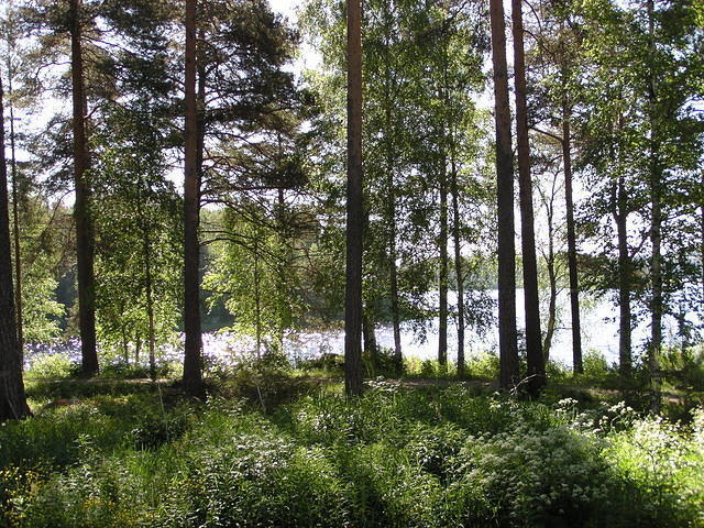 P6240241.jpg