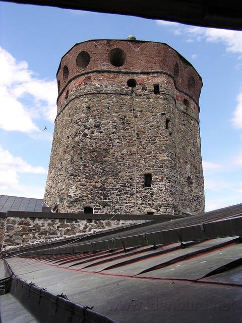 P6240258.jpg