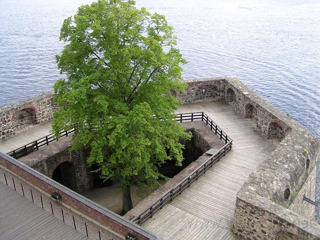P6240263.jpg