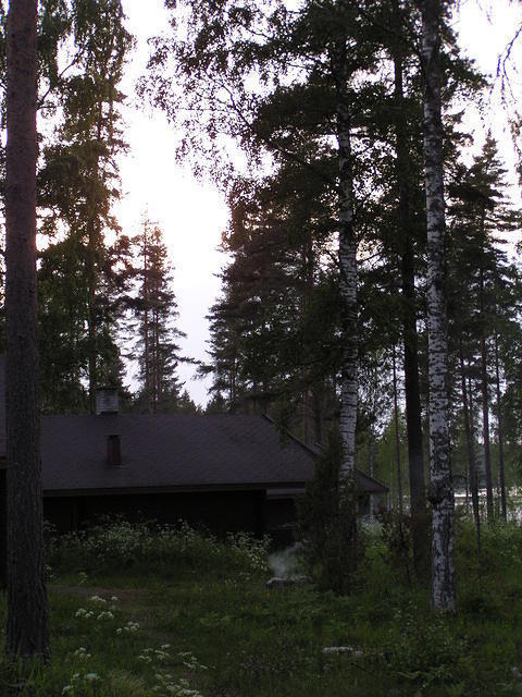 P6240282.jpg