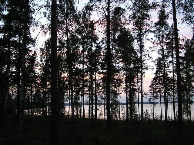 P6240286.jpg