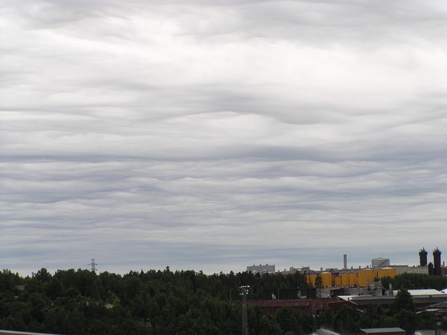 P6250301.jpg