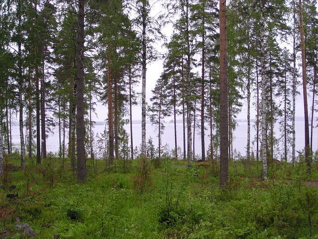 P6250303.jpg
