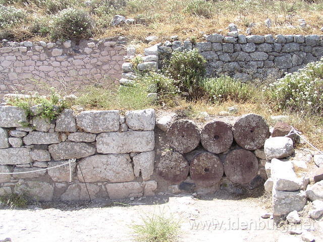 P5260040.JPG