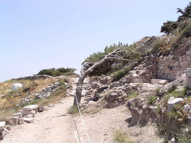 P5260042.JPG