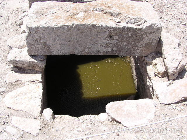 P5260045.JPG