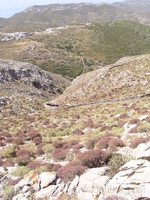P6010192.JPG