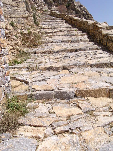 P6010197.JPG