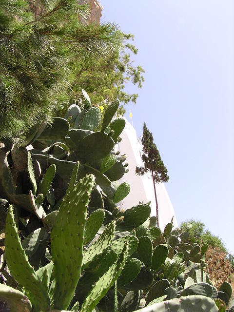 P6010203.JPG