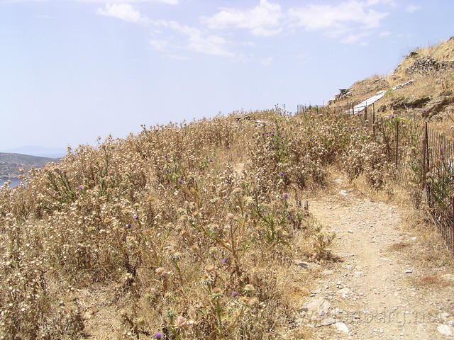 P6010214.JPG