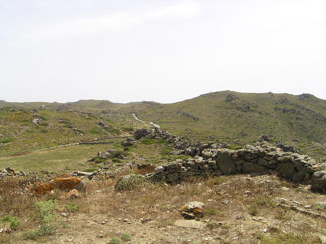 P6020233.JPG