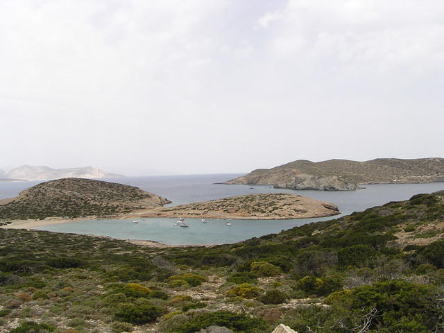 P6020235.JPG