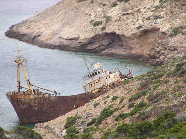 P6020237.JPG