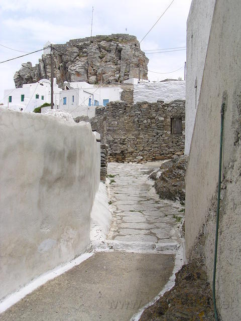 P6020244.JPG