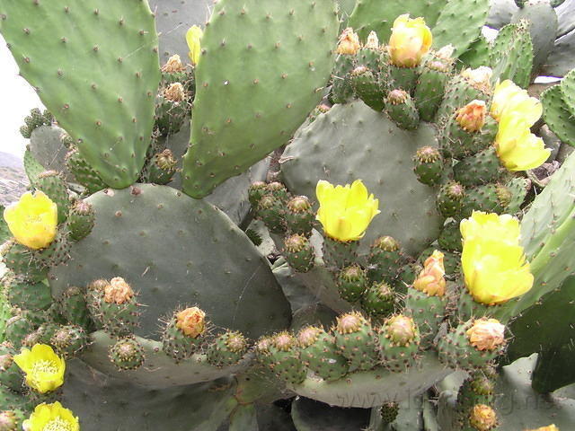 P6020246.JPG