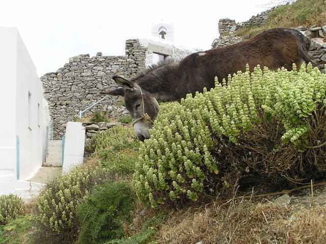P6020249.JPG