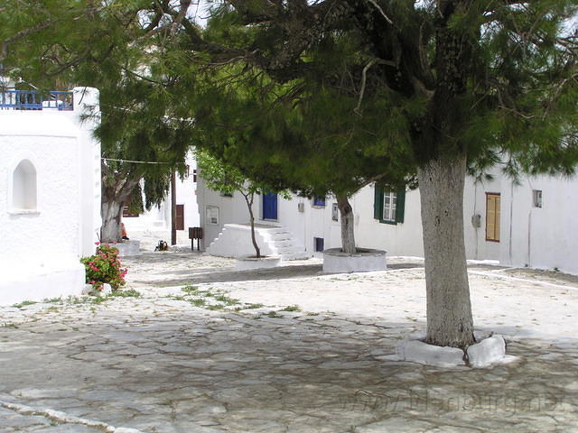 P6020252.JPG
