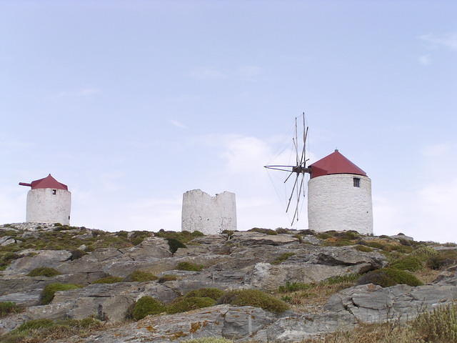P6020254.JPG