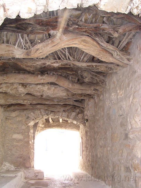 P6030267.JPG
