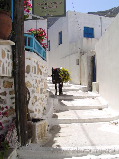 P6030274.JPG