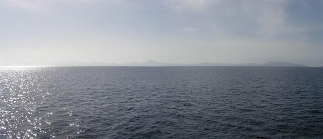 P6050280a.jpg