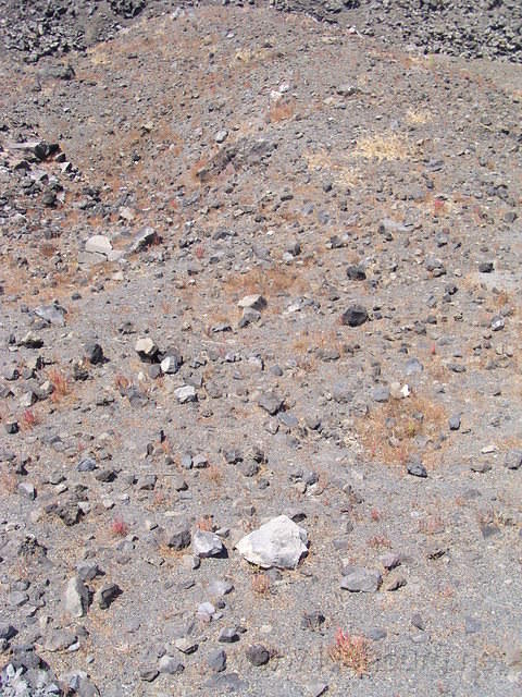 P6070355.JPG