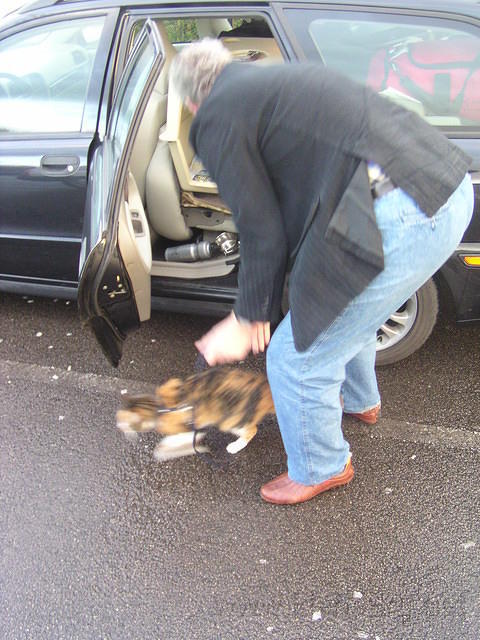 Ook Tootsie mag haar beentjes strekken